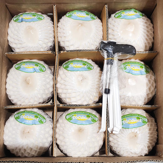 【本来果坊】泰国香水椰青9粒原箱装 送开椰器+吸管 商品图0