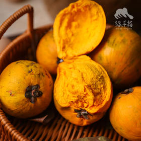 生态鸡蛋果 | 绿家自产 * Eco-lucuma | Self-production
