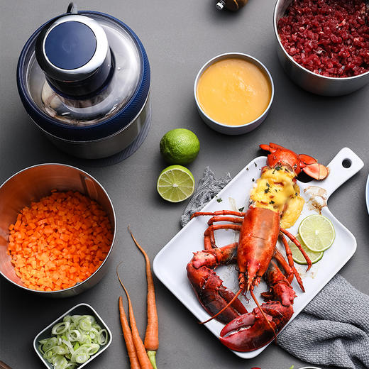 【清仓特惠】摩飞绞肉机家用电动多功能碎菜绞肉馅料理机不锈钢辅食搅拌绞馅机 商品图3