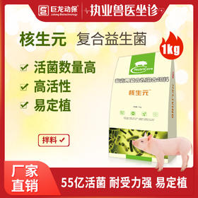 【核生元】和仕康核生元 调理肠道 除氨气 益生菌1kg