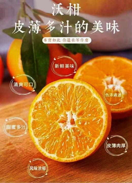 云南沃柑  5kg【KM】 商品图3