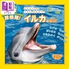 【中商原版】ナショジオキッズ わくわく地球探検隊イルカの世界 进口艺术 Nashoji Kids激动人心的地球探险海豚的世界 日文原版 商品缩略图0