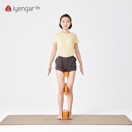 艾扬格 瑜伽半砖 商品图4