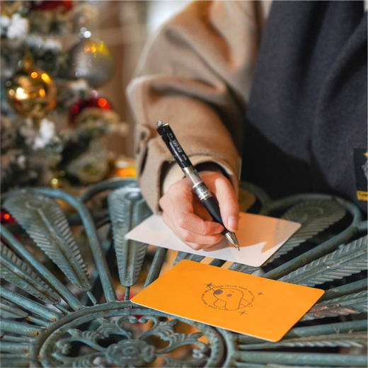 镭射袋鼠团团明信片 商品图3