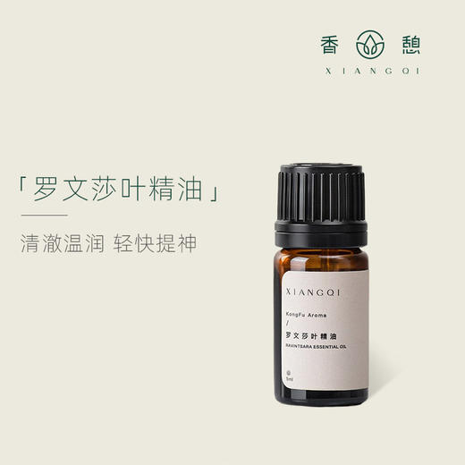 「课程·单方油」XIANGQI香憩︱罗文莎叶精油 5ml/瓶 商品图0