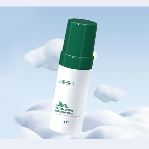 韩国VT老虎按压泡沫洁面120ml 商品图2