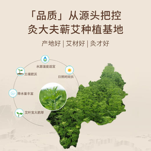 [2025]特价艾条（2.0cm*20cm）6支装 商品图4