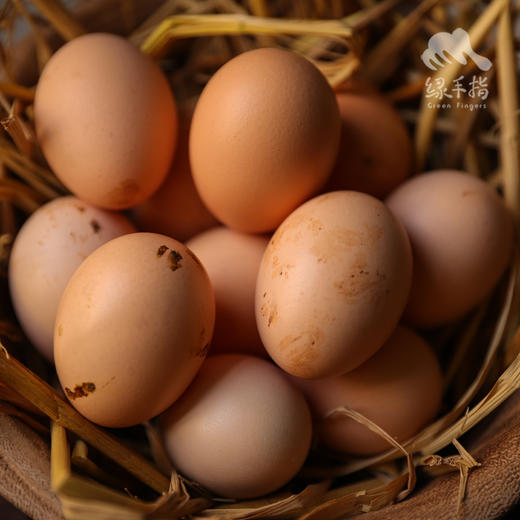生态高原放牧鸡蛋（新鲜鸡蛋，长途运输可能会造成散黄，不在赔付范围） | 合作生产*Eco- egg | Coproduction 商品图6