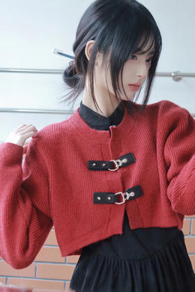 浅浅期待一下新年吧，战衣已备好~🤳