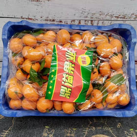 正宗纯甜砂糖裤毛重6.9公斤左右