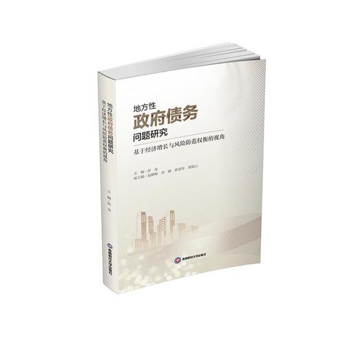 地方性政府债务问题研究 基于经济增长与风险防范权衡的视角  商品图0