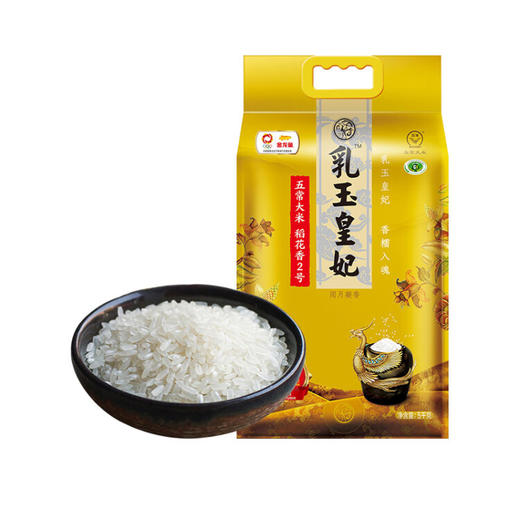 金龙鱼 CX300-08东方好礼米油套餐 5L+5kg 商品图5