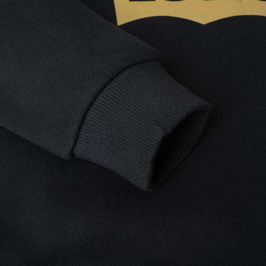 LEVIS 冬 大童小童 卫衣 LVN-FW-G040 商品图3