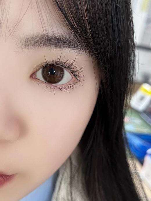 Legal loli 巧克栗 年抛 直径14.5 着色13.6 含水40% 基弧8.6 商品图2