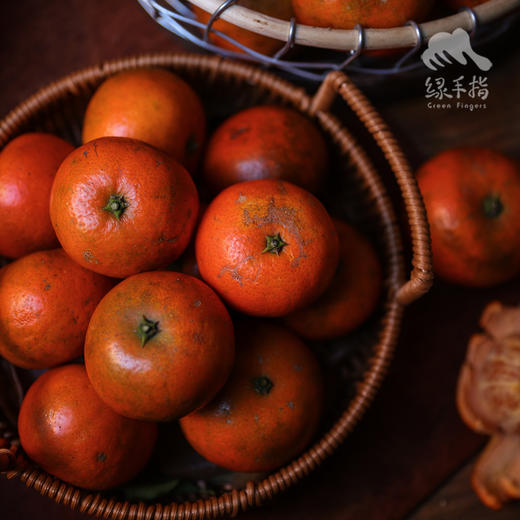 生态红橘 | 合作生产*Ecological  Red Tangerine | Coproduction 商品图1