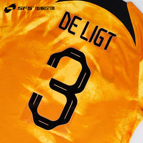 SFS  2022世界杯荷兰主场球员印号 多球员选项（非球衣链接）