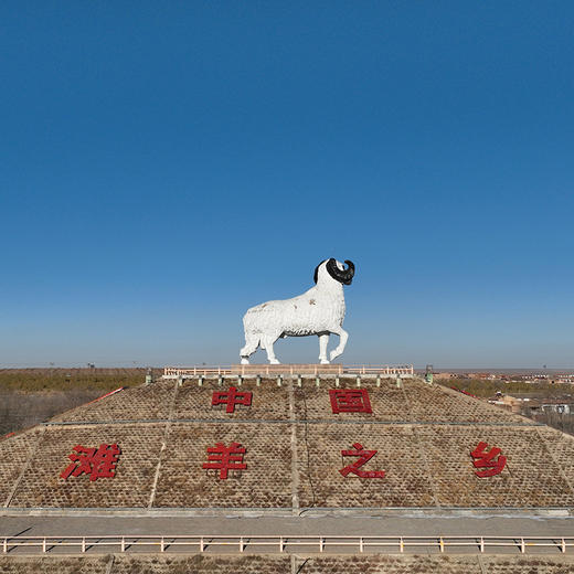 【宁夏盐池滩羊】国家地理标志性产品 精选180天乳羊羔 肉质细腻不腥膻 商品图7