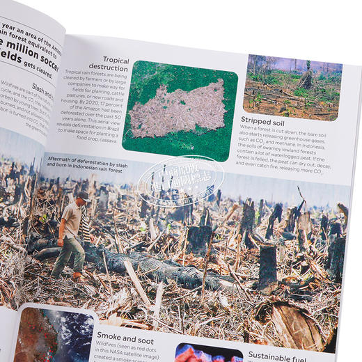 预售 【中商原版】Eyewitness系列 气候变化百科 Climate Change 英文原版 DK 知识百科 气候科学 科普 商品图3