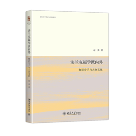 法兰克福学派内外：知识分子与大众文化 赵勇 北京大学出版社