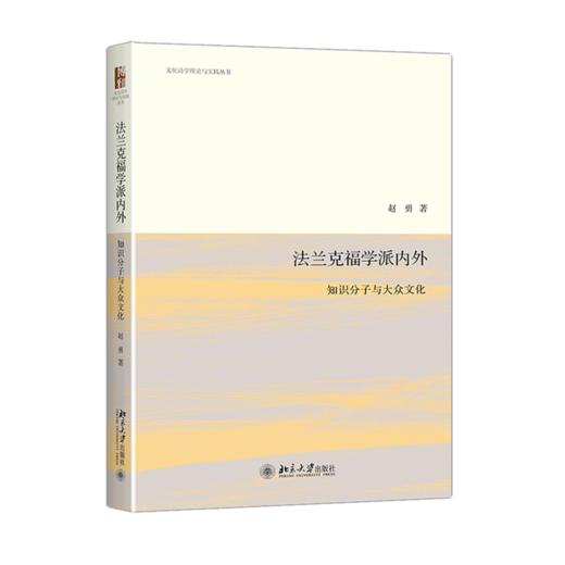 法兰克福学派内外：知识分子与大众文化 赵勇 北京大学出版社 商品图0