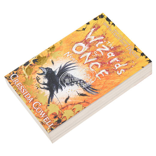 【中商原版】魔镜奇谭4 永不和永远 英文原版 The Wizards of Once Never and Forever Book 4 驯龙高手作者 Cressida Cowell 商品图2