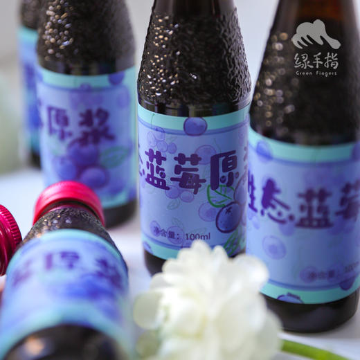 生态蓝莓原浆（临期8折） | 合作生产 Ecological Blueberry Puree |  Coproduction 商品图2