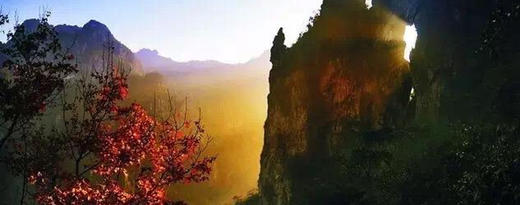 雁荡山景区套票 商品图4