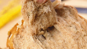  黑糖全麦吐司——新良全麦高筋粉