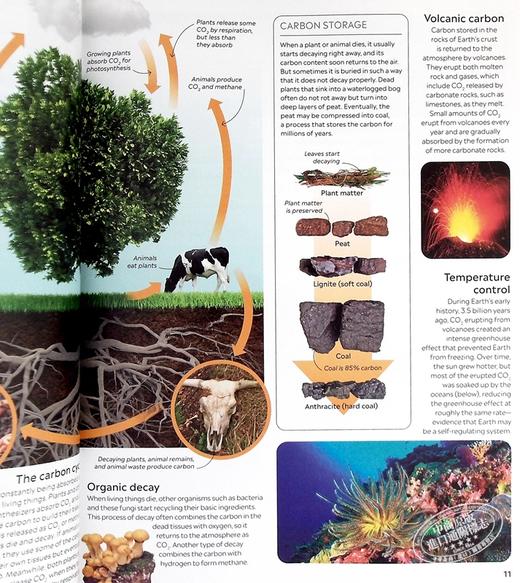 预售 【中商原版】Eyewitness系列 气候变化百科 Climate Change 英文原版 DK 知识百科 气候科学 科普 商品图6