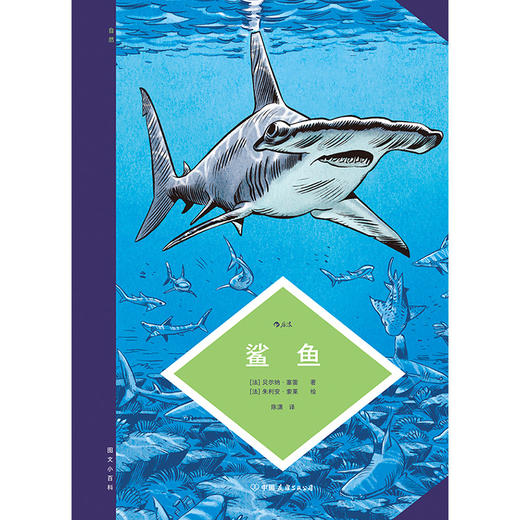 后浪新书预售 图文小百科：鲨鱼 图解版鲨鱼大全 商品图1
