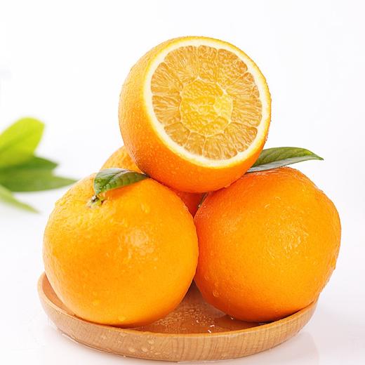  脐橙大果新鲜橙子当季水果手剥冰糖甜橙果冻橙 mzt04 商品图0