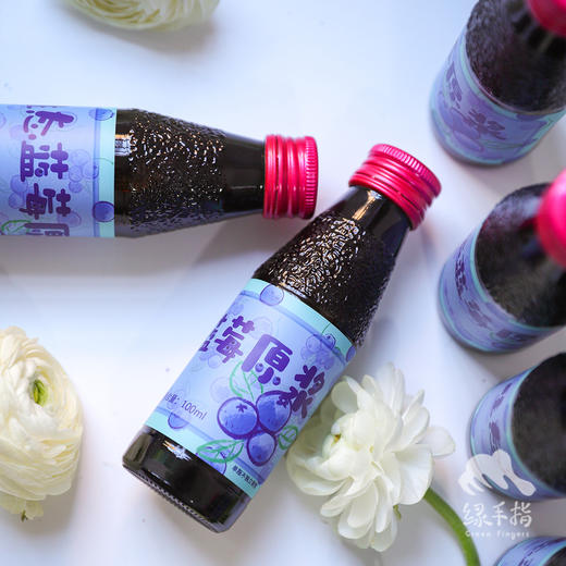 生态蓝莓原浆（临期8折） | 合作生产 Ecological Blueberry Puree |  Coproduction 商品图1