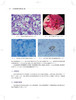 医学真菌检验与图解 第二版 医学真菌图谱真菌检验备查书 临床医学书籍 卢洪洲 徐和平 冯长海 上海科学技术出版社9787547858790 商品缩略图4