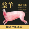 甘肃山丹羊肉卷 纯纯去骨后腿肉 新鲜发货 现切现包现发 商品缩略图2