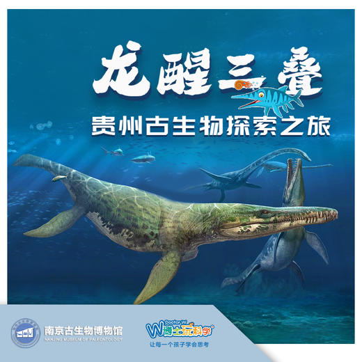 【南京】贵州古生物探索之旅——龙醒三叠 商品图0