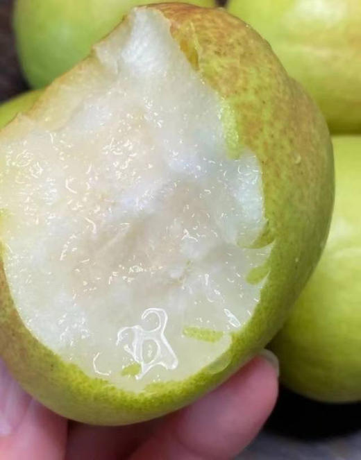一级香梨🍐5公斤 商品图2