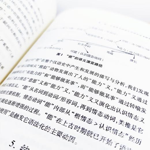 汉语情态：理论与事实（中国语言学前沿丛书） 彭利贞 张寒冰 主编 商务印书馆 商品图5