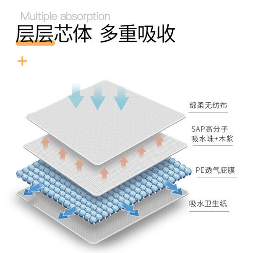 宠物护垫盒装狗狗月经一次性生理护理垫 猫咪月经护垫生理裤批发 商品图1