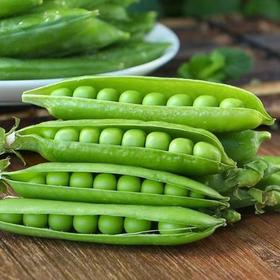 云南高原新鲜豌豆荚、农家种植、颗粒饱满、香气清新