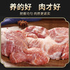 散养黑猪肉  好吃不贵 现杀鲜肉 邮政冷鲜空运包邮 商品缩略图6