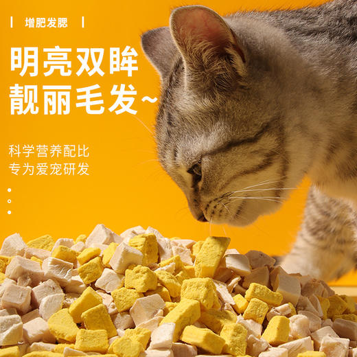 冒险与它宠物冻干零食猫零食宠物冻干鸡胸肉鸭肉粒鹌鹑小鱼干蛋黄猫零食成幼猫狗狗零食 商品图6