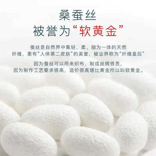 【zeamo拉绒蚕丝护膝 爱“膝”自己】 sq 商品图2