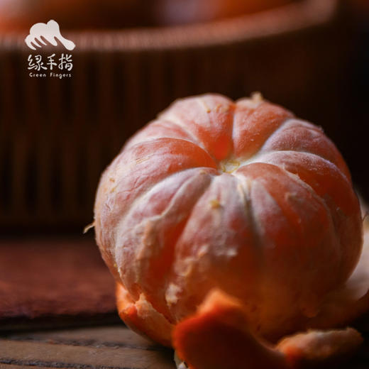 生态红橘 | 合作生产*Ecological  Red Tangerine | Coproduction 商品图3