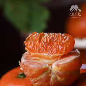 生态红橘 | 合作生产*Ecological  Red Tangerine | Coproduction