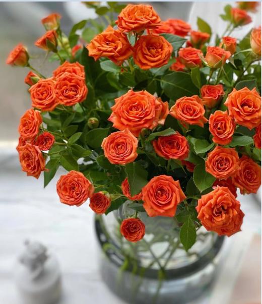 多头玫瑰（3支） 颜色随机先到先得 商品图0