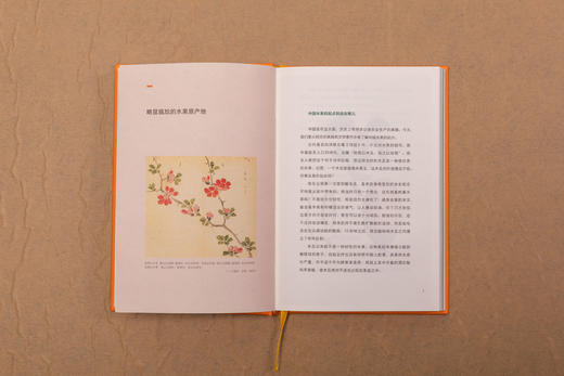 中国食物：水果史话  植物人史军全新力作，用水果串起中国人的山河变迁 科普图书 商品图4
