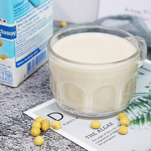 力大狮原味豆奶饮料500ml 商品图3