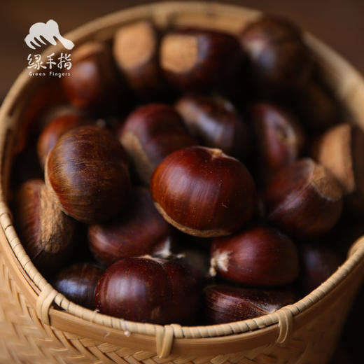 有机鲜板栗 | 合作生产*Organic Fresh chestnut | Coprodution 商品图0