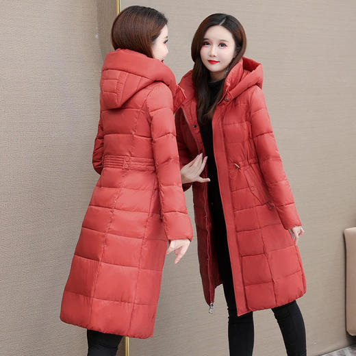 TZW-简约修身时尚保暖新款连帽休闲气质冬季QYM-KSY-28C05-L 商品图1