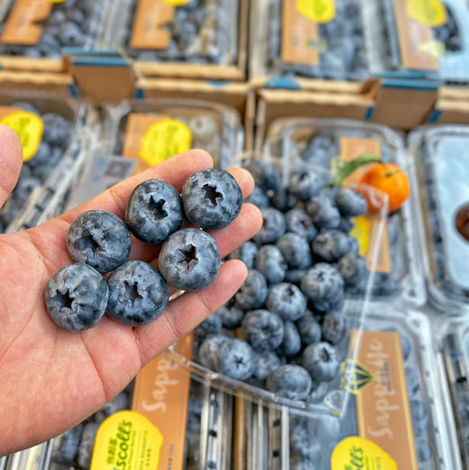 【怡颗莓系列蓝莓】怡颗莓Driscoll’s 蓝莓，口不错，硬度高，入口酸甜滋味！ 商品图9